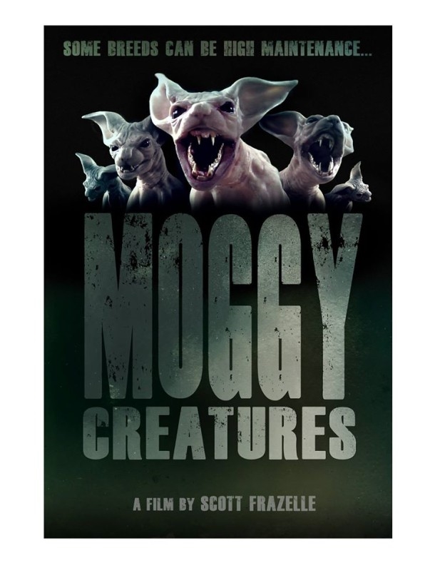 Moggy Creatures