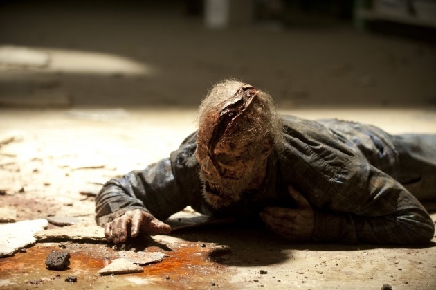 AMC Offers Update on Walking Dead Spin Off