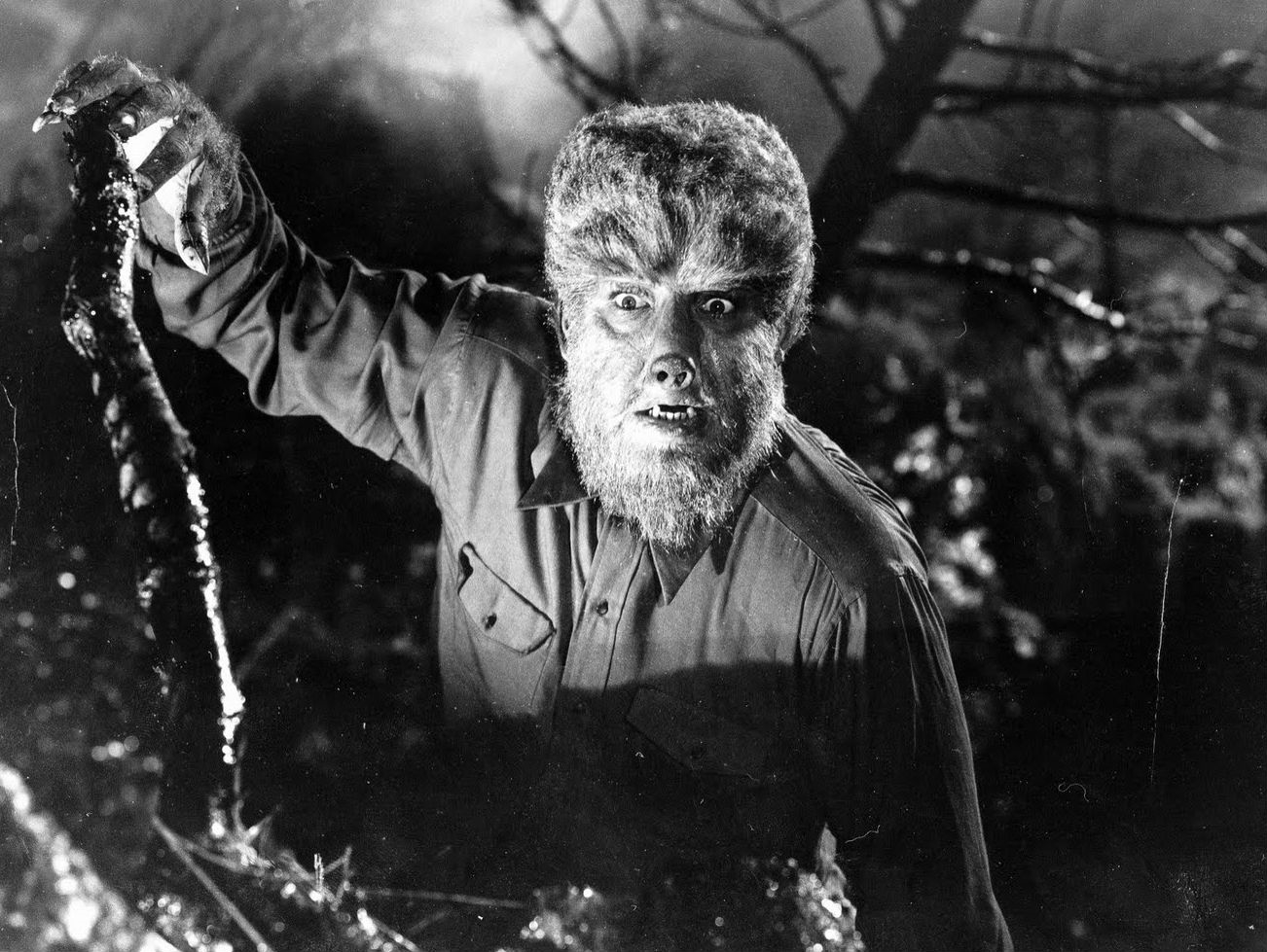 NBC to Bring the Wolfman to Television