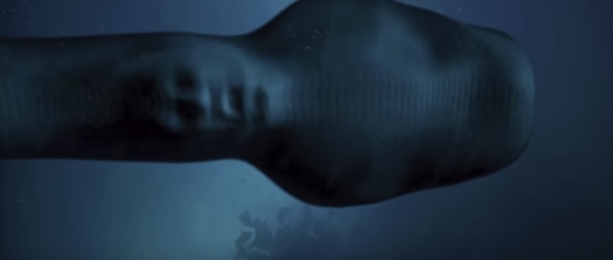 Anaconda Owen