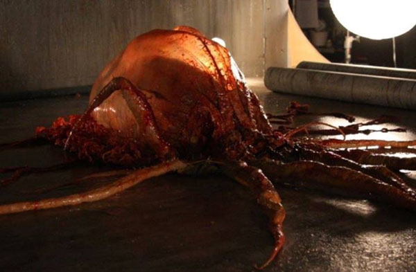 New Official Stills from Harbinger Down