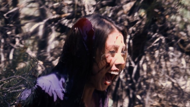 Monsters-in-the-Woods-Still-Scream