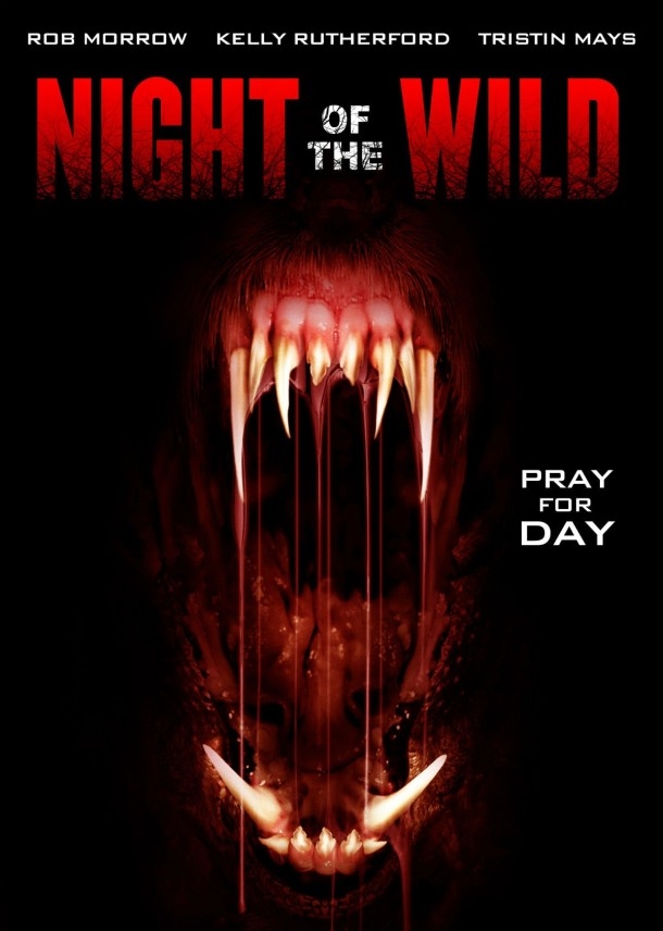 Night of the Wild Poster
