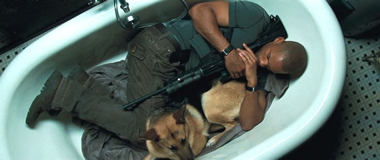 I Am Legend Reboot in the Works