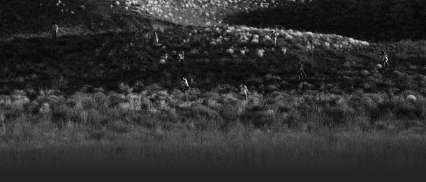 Savageland-Black-Grey-Hill-Phil-Guidry