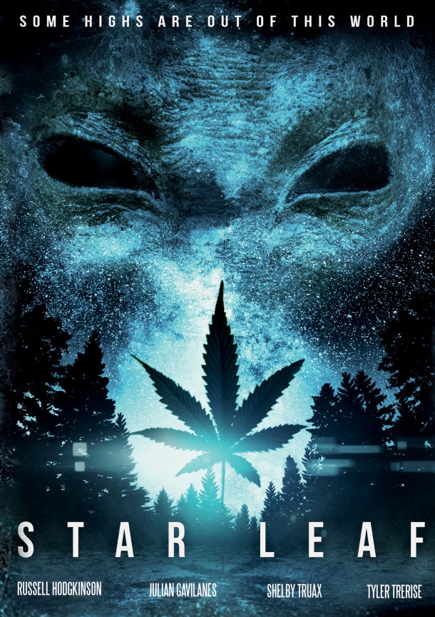 Star Leaf Poster