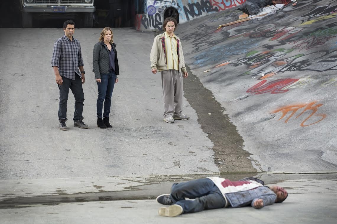 Walking Dead Companion Series