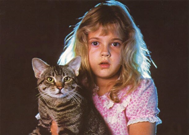 10 Halloween Horror Movie Anthologies to Watch