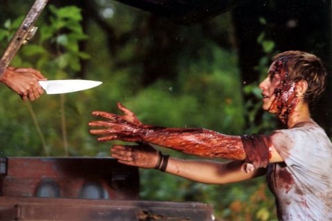 The Best Subtitled Horror Movies