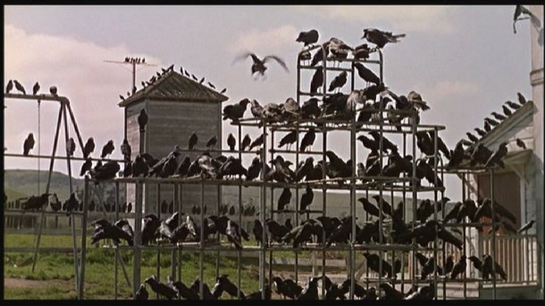 You Voted: The Greatest Horror Genre Icons