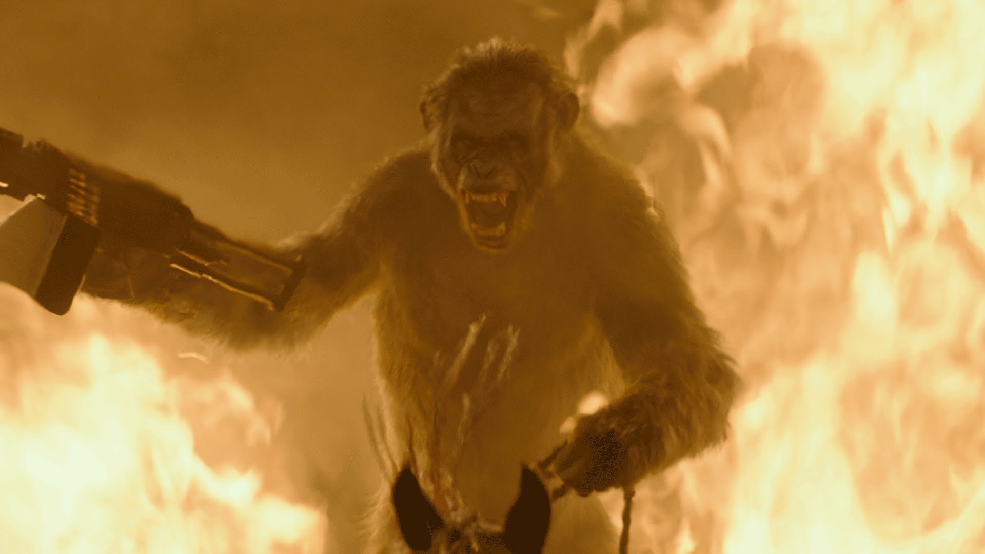 See ‘Dawn of the Planet of the Apes’ Early in Los Angeles