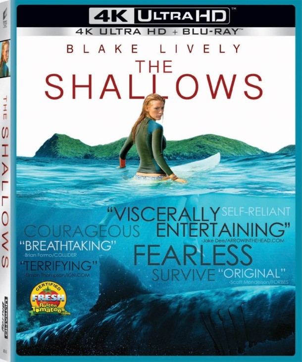 shallows