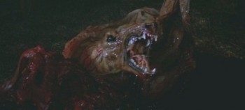 Top 10 Creature Feature Movies
